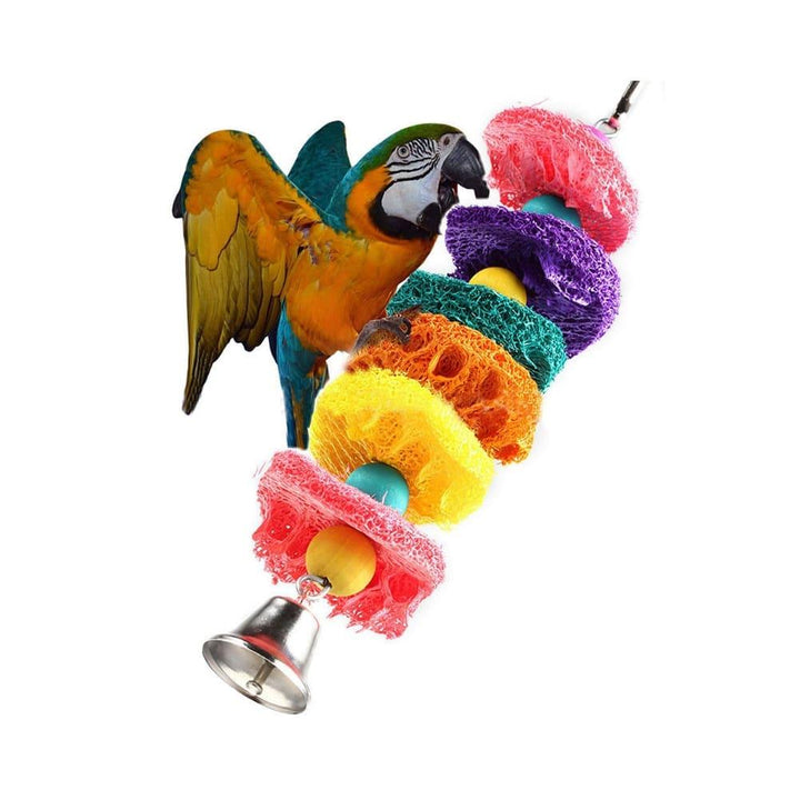 Swing Chew Toy for Birds - Trendha