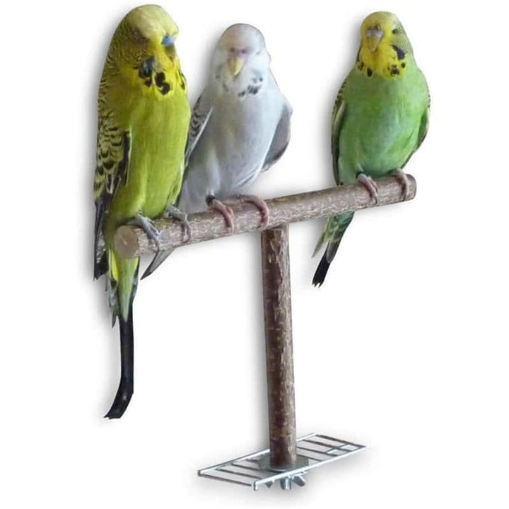 T-Shaped Bird's Perch - Trendha