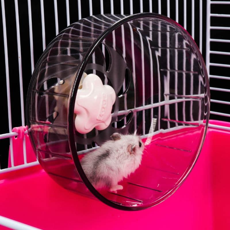 Transparen Exercise Wheel for Small Pets - Trendha
