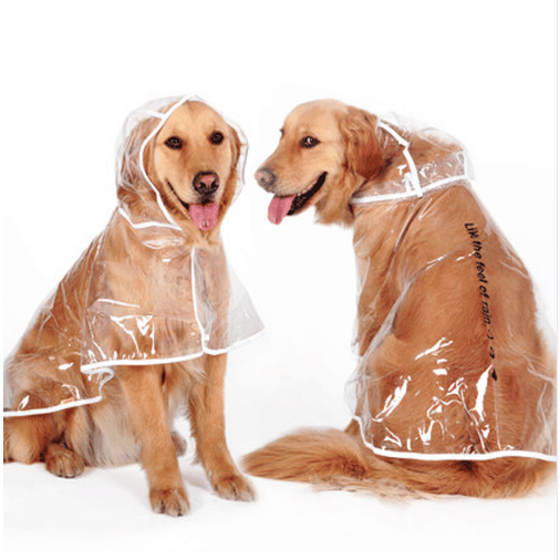 Transparent Autumn Dog Raincoat - Trendha