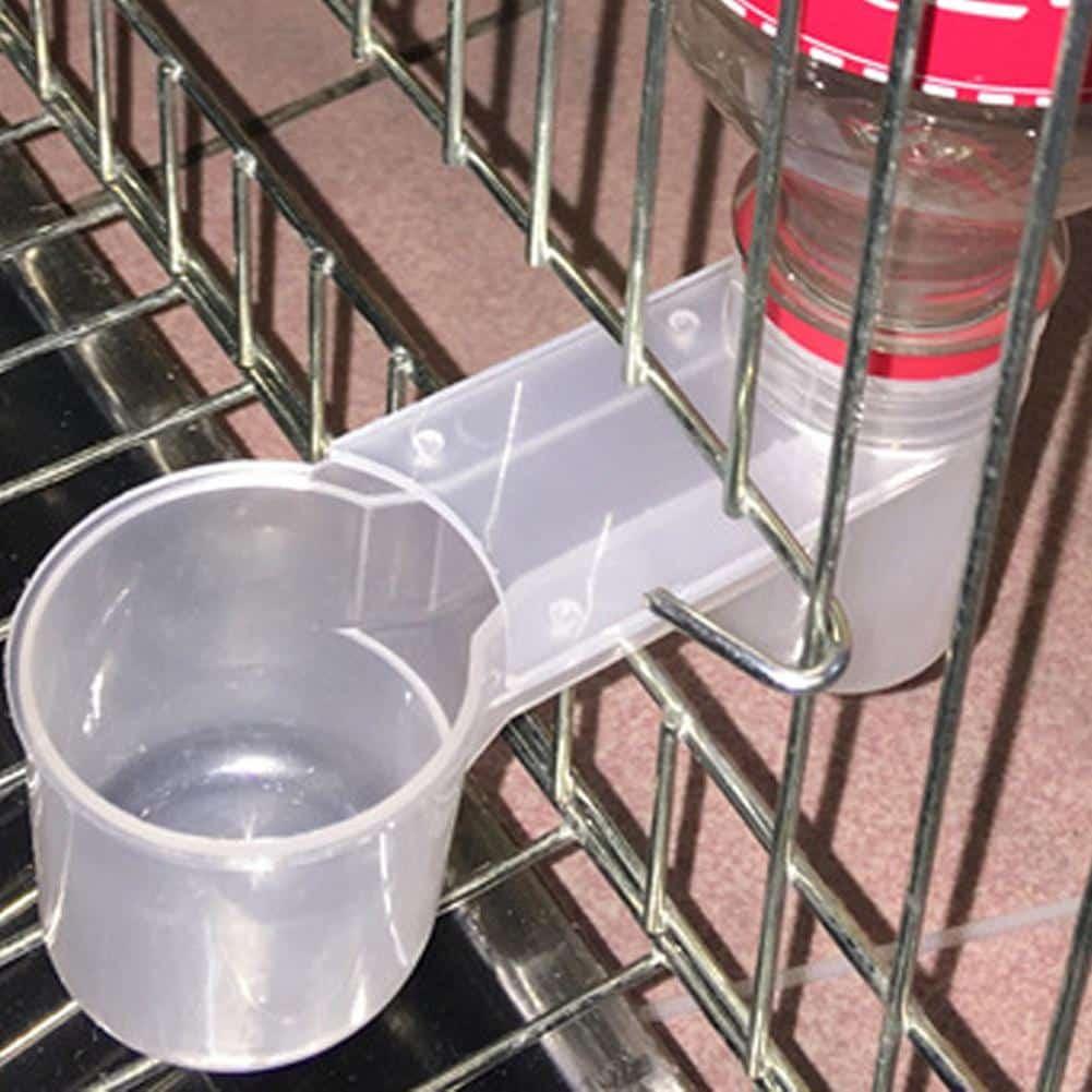 Transparent Bird Feeder - Trendha