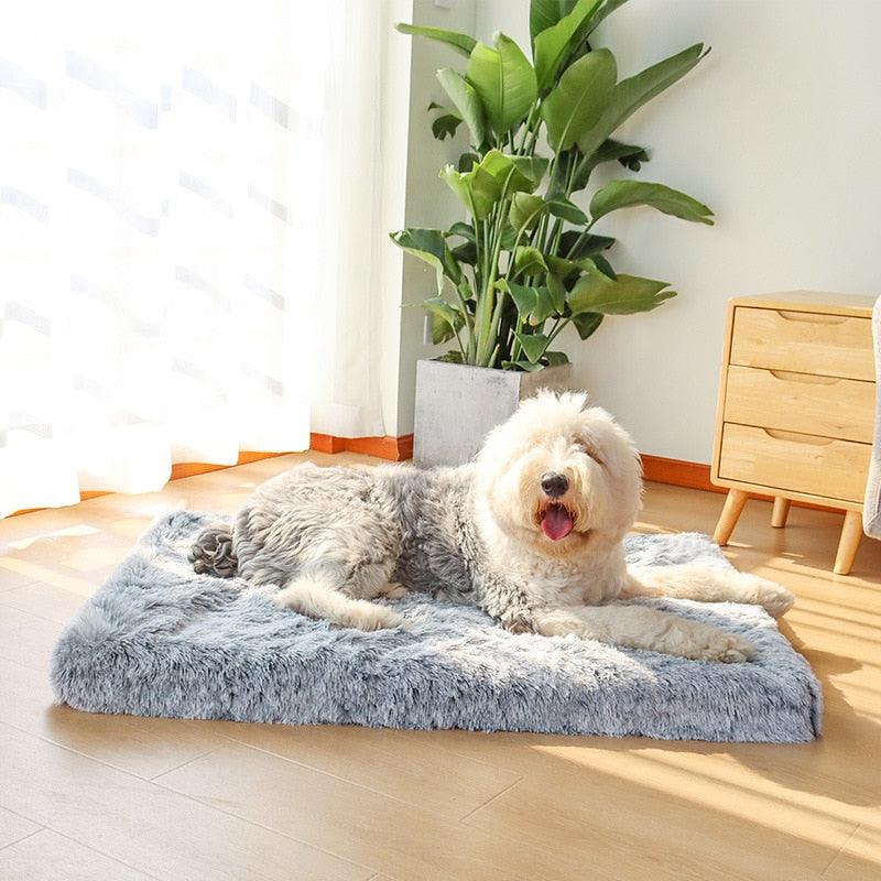 Ultra Plush Orthopedic Dogs Mat - Trendha