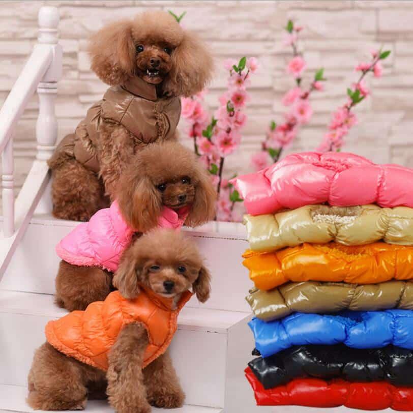 Warm Down Coat for Dogs
