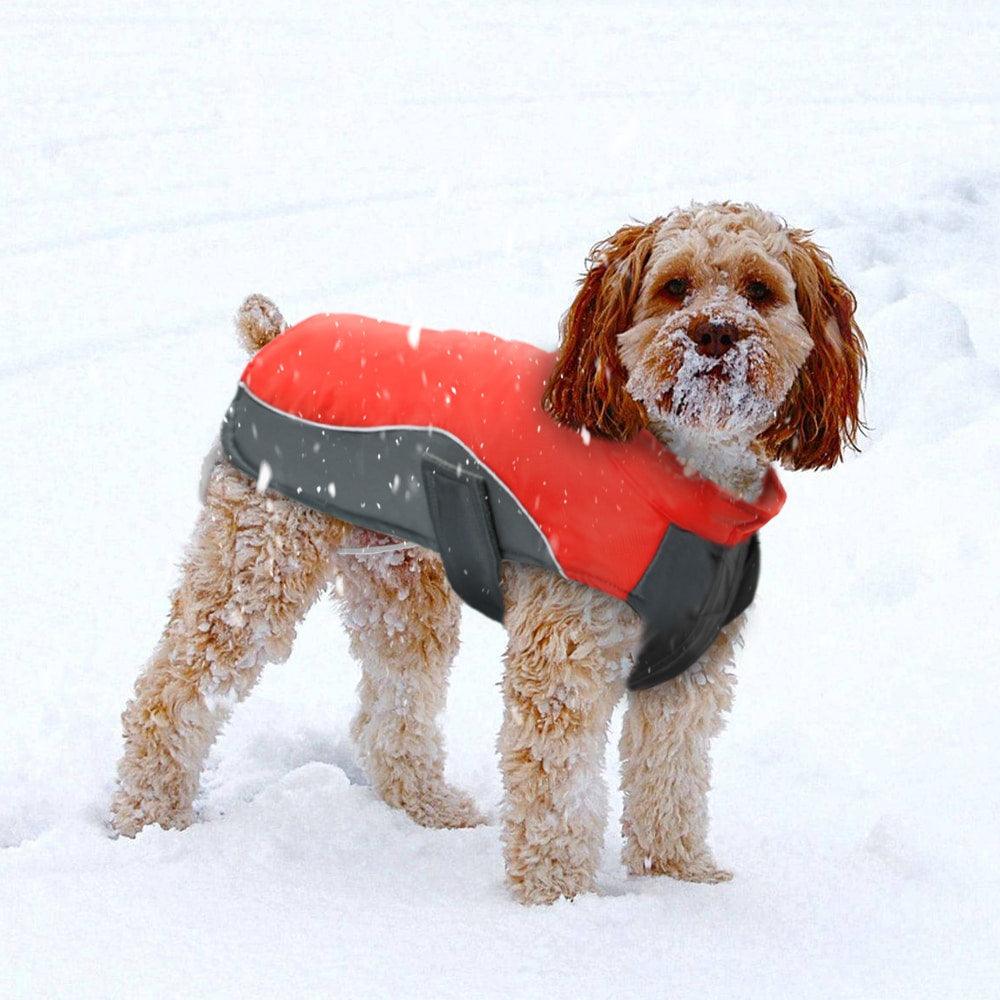 Waterproof Dog's Vest Jacket - Trendha