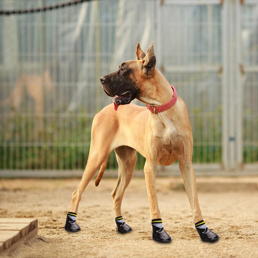Waterproof Non-Slip Cotton Shoes For Dogs - Trendha