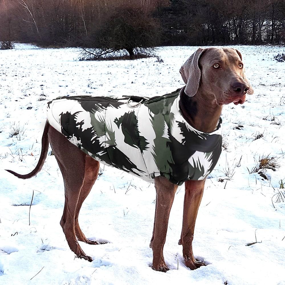 Waterproof Winter Dog Vest - Trendha