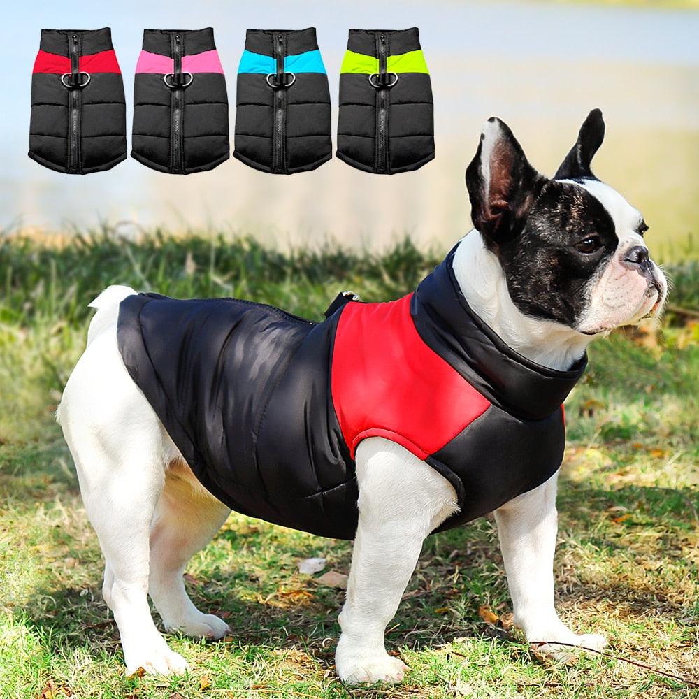 Waterproof Winter Jacket For Dogs - Trendha