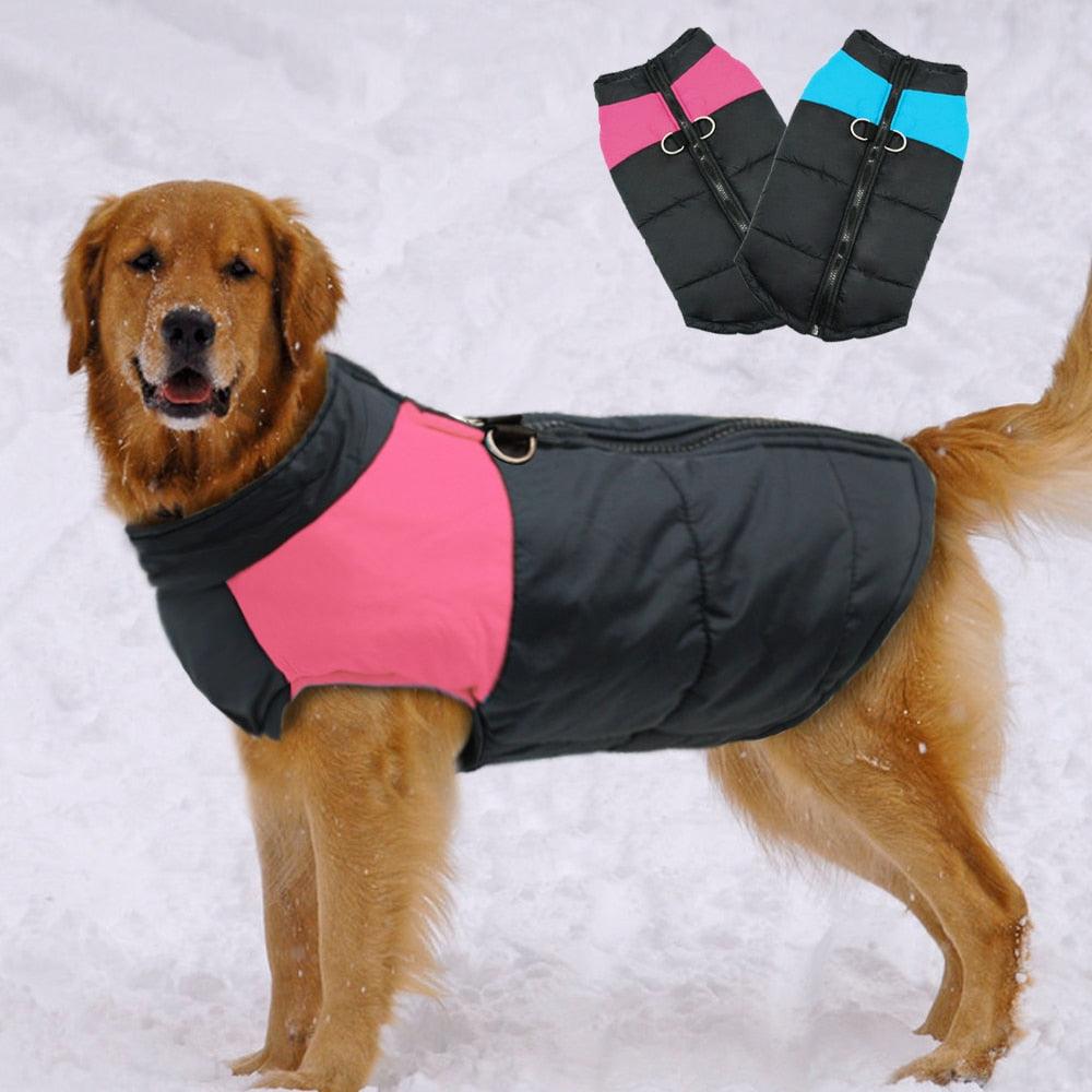 Winter Jacket For Small/Big Dogs