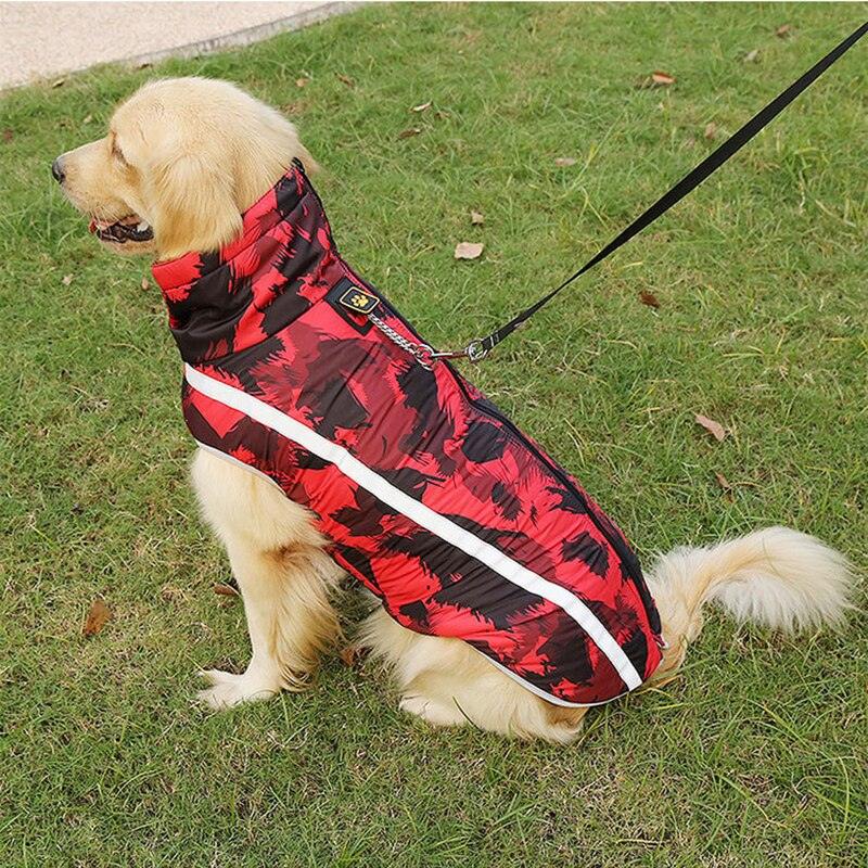 Winter Vest Coat for Dogs - Trendha