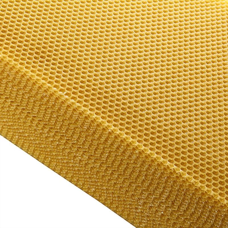 Yellow Wax Beehive Honeycomb Sheet 10 pcs Set - Trendha