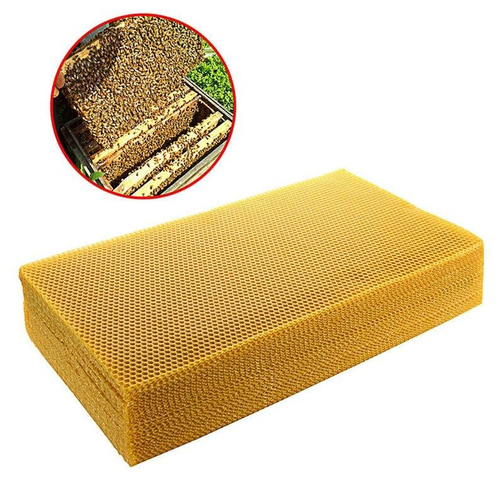 Yellow Wax Beehive Honeycomb Sheet 10 pcs Set - Trendha